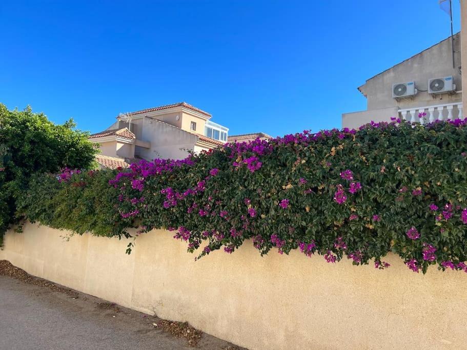 Club Salino 18 Apartment Torrevieja Exterior photo